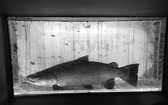 Video 2025-09-23 15:41