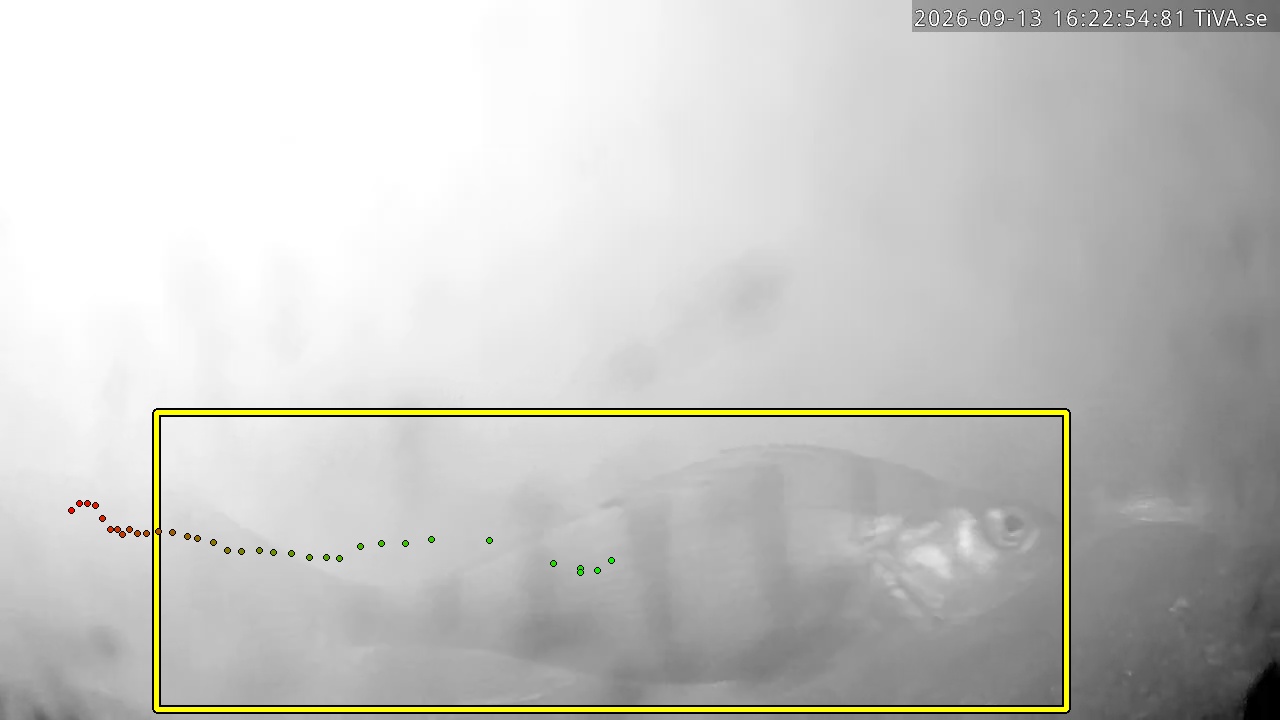 Video 2026-09-13 16:22