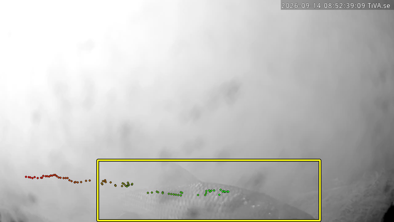 Video 2026-09-14 08:52