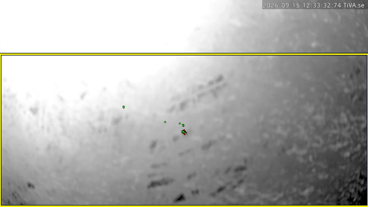 Video 2026-09-15 12:33