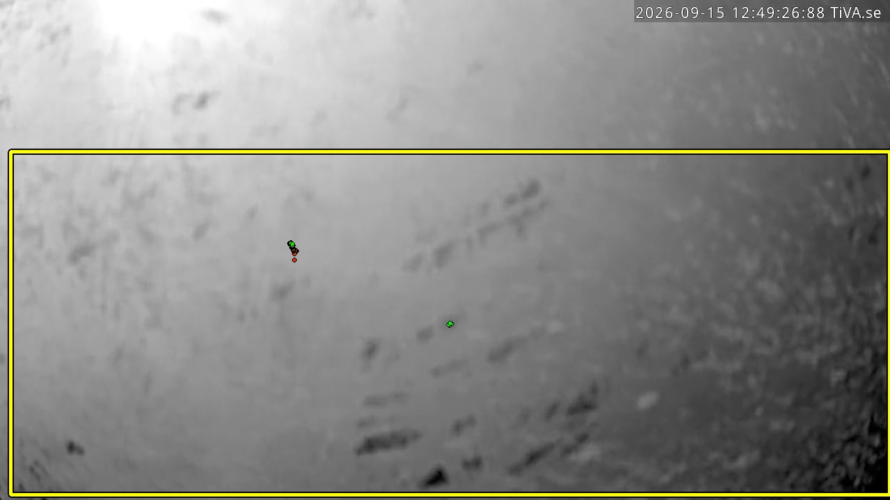 Video 2026-09-15 12:49