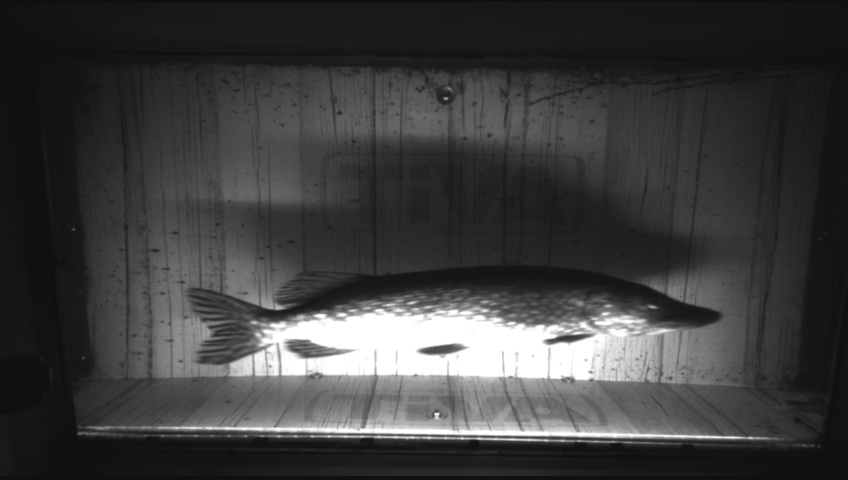 Video 2026-05-07 19:46