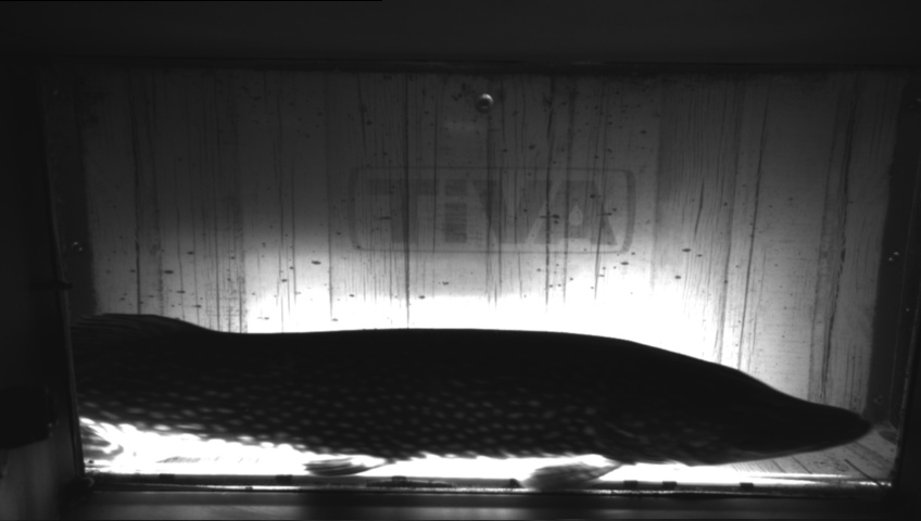 Video 2026-04-19 18:33