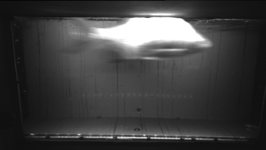 Video 2026-05-13 22:30