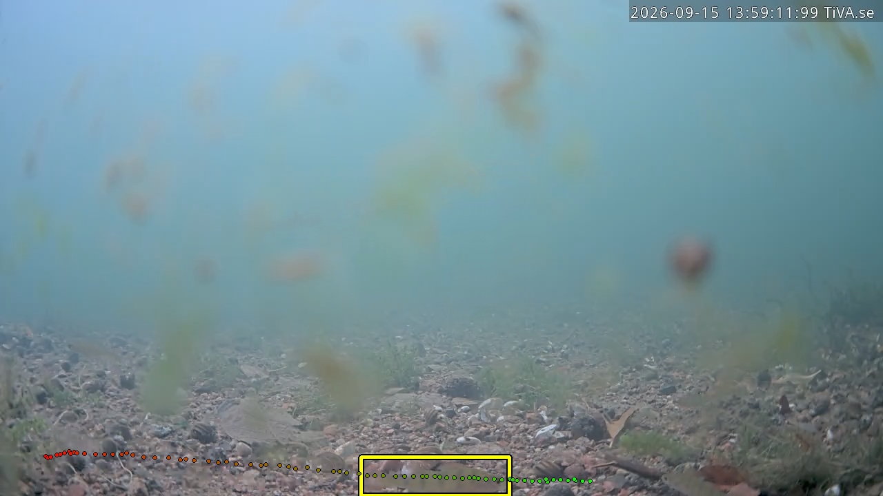 Video 2026-09-15 13:59