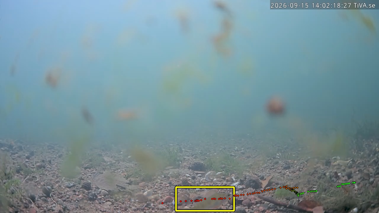 Video 2026-09-15 14:02