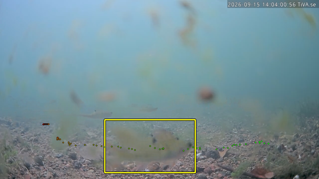 Video 2026-09-15 14:04