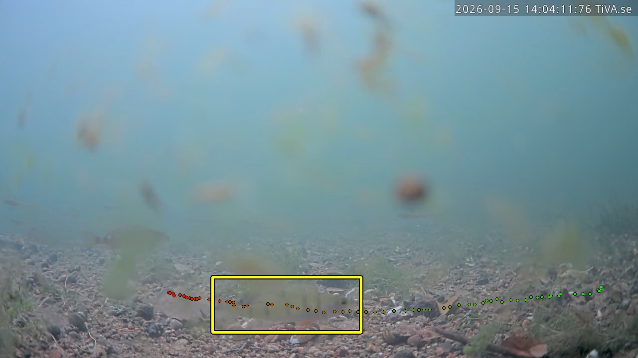 Video 2026-09-15 14:04