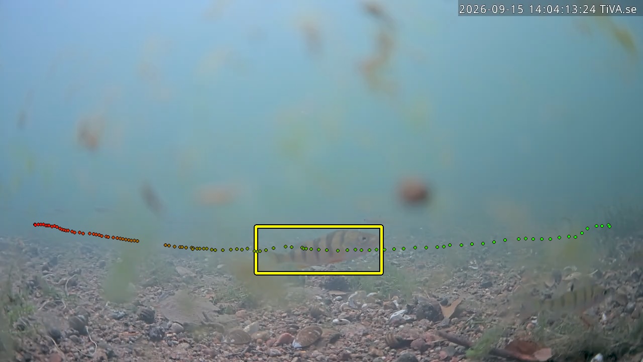 Video 2026-09-15 14:04