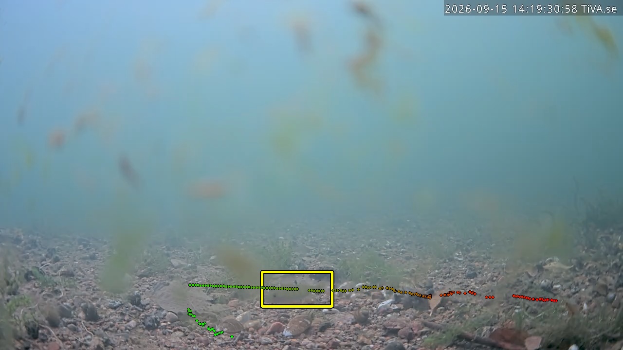 Video 2026-09-15 14:19