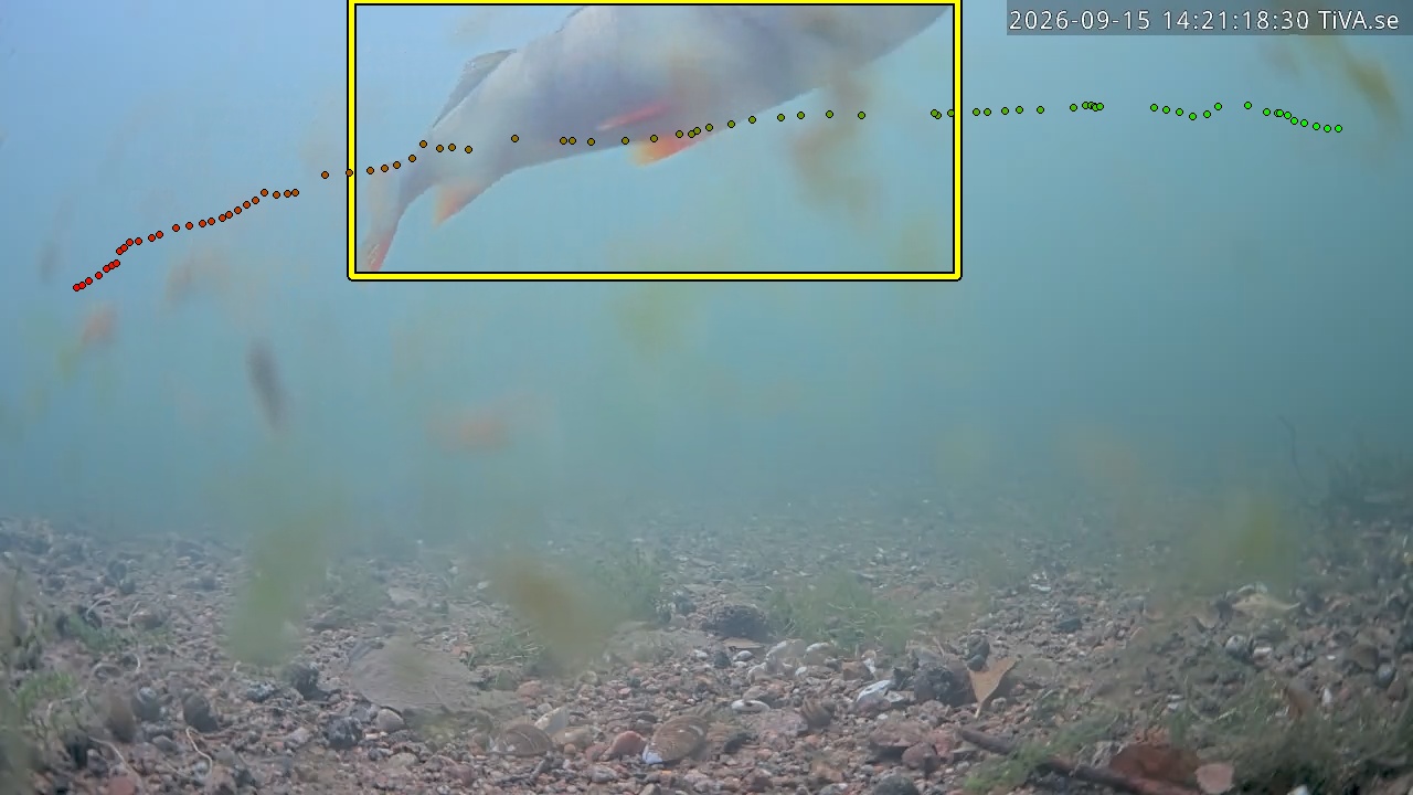 Video 2026-09-15 14:21
