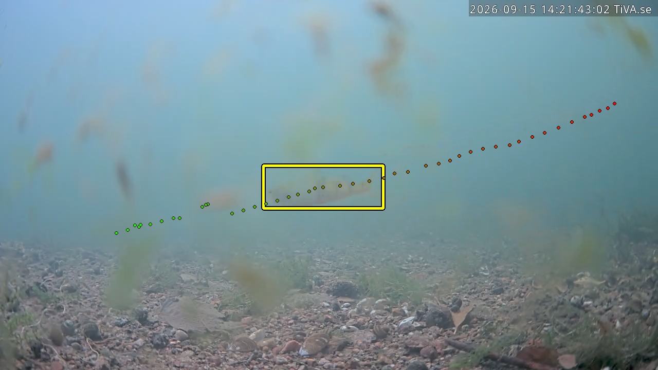 Video 2026-09-15 14:21