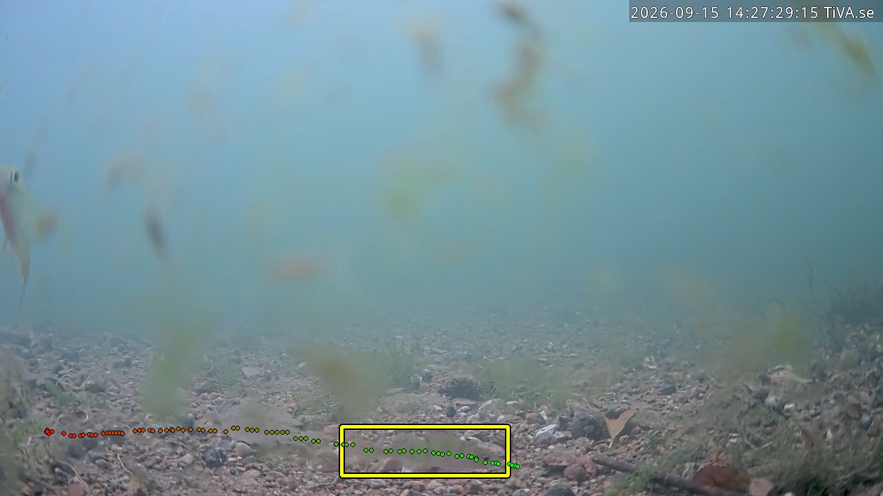 Video 2026-09-15 14:27