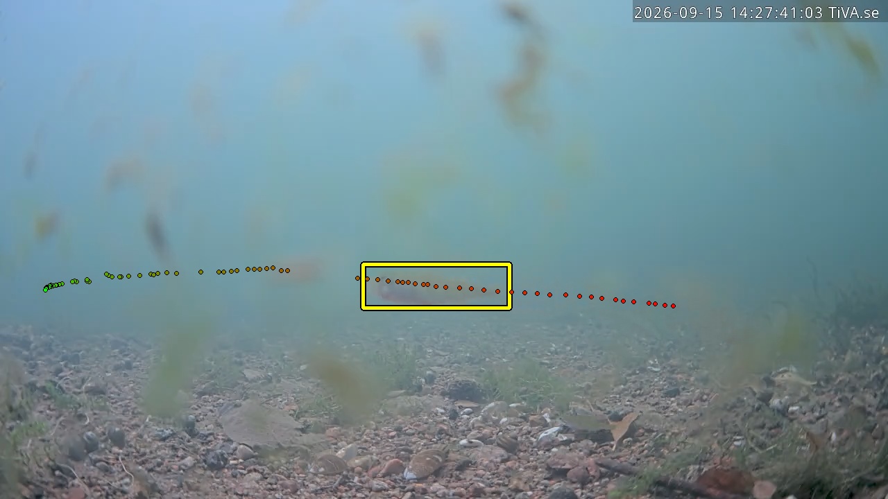 Video 2026-09-15 14:27