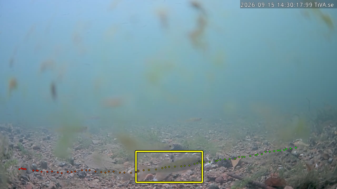 Video 2026-09-15 14:30
