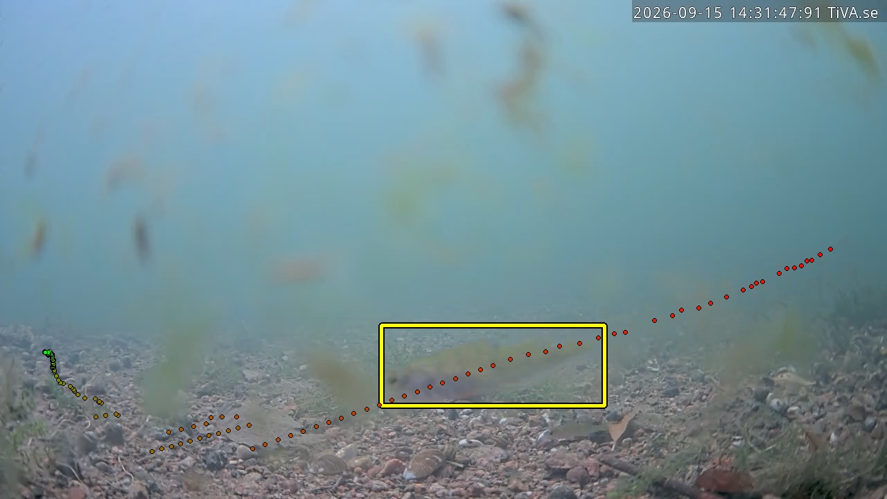 Video 2026-09-15 14:31