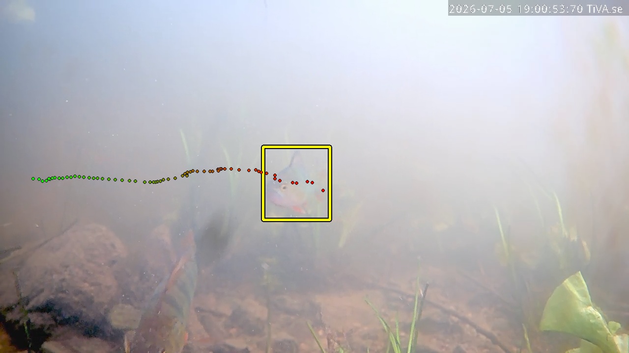 Video 2026-07-05 19:01