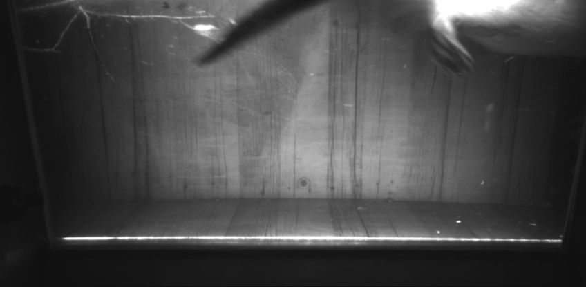 Video 2022-11-24 17:54