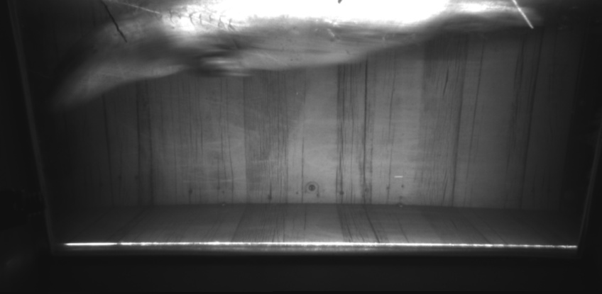 Video 2022-11-24 17:56