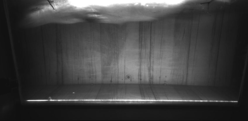 Video 2022-11-24 17:57