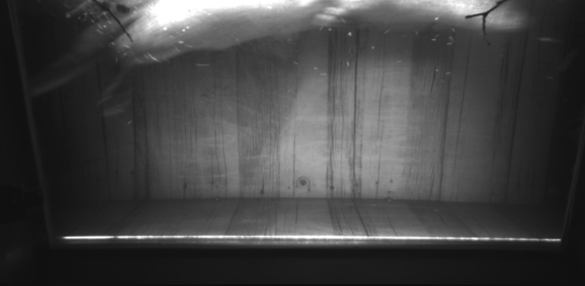 Video 2022-11-24 17:58