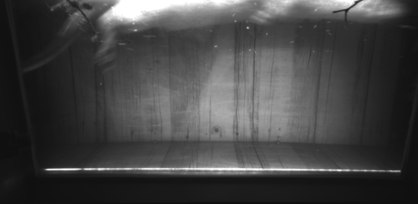 Video 2022-11-24 17:58