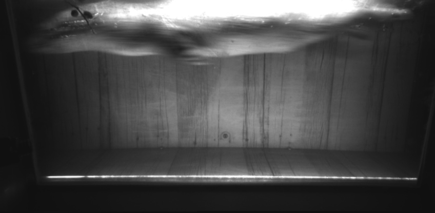 Video 2022-11-24 19:53