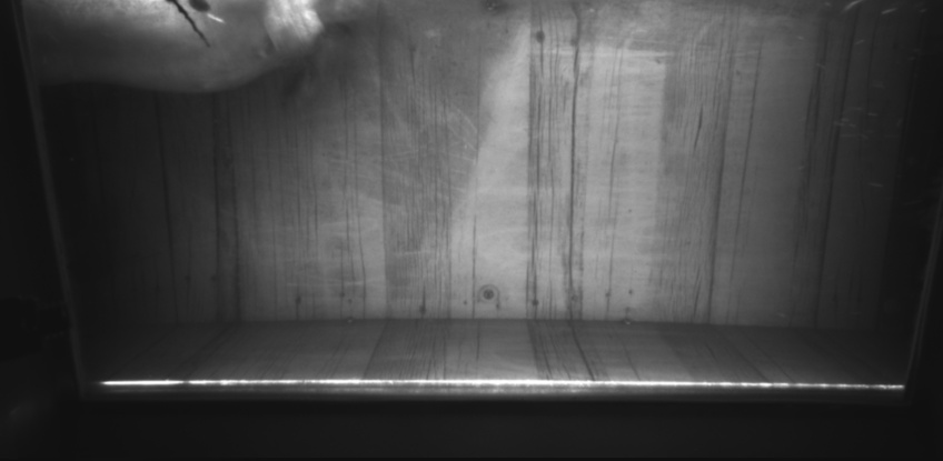 Video 2022-11-24 19:53
