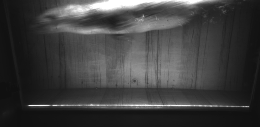 Video 2022-11-24 23:59