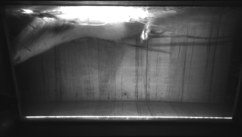 Video 2022-12-03 20:47