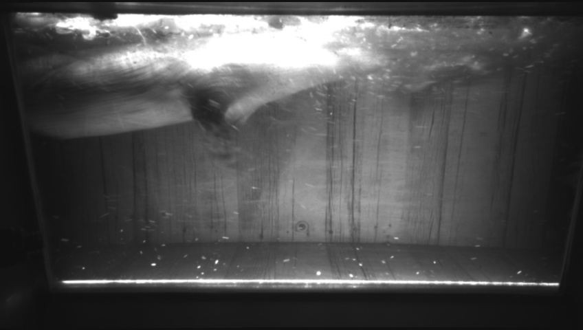 Video 2022-12-03 20:47