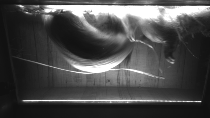 Video 2022-12-03 20:51
