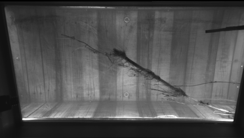 Video 2022-12-07 12:18