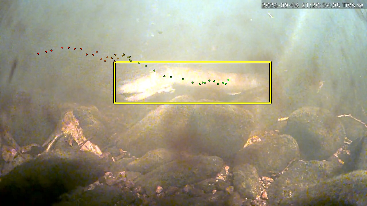 Video 2026-09-04 21:21