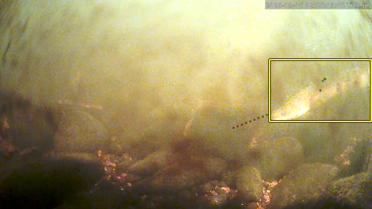 Video 2026-09-06 02:55