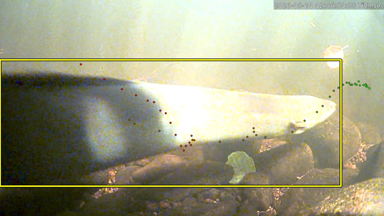 Video 2026-09-10 02:46