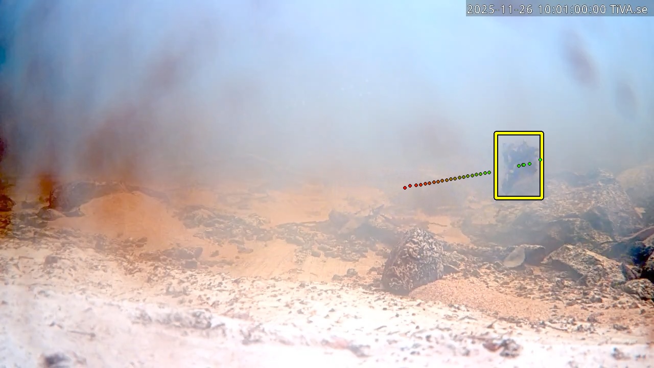 Video 2025-11-26 10:01