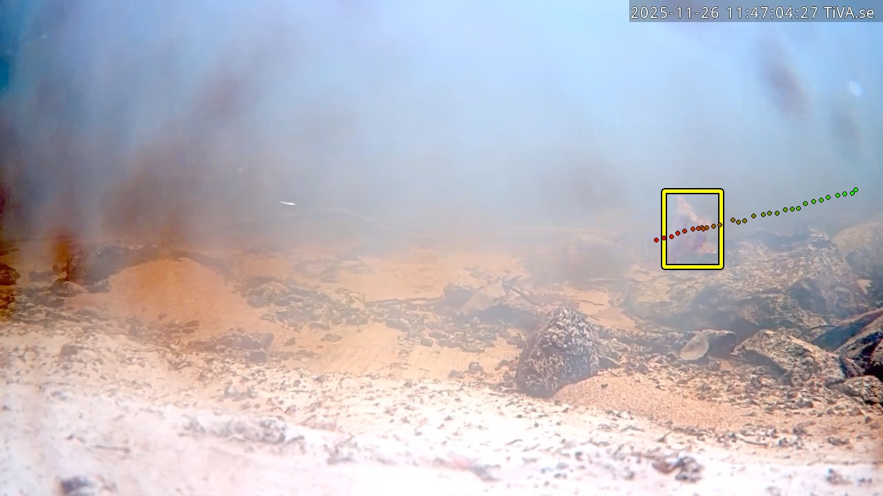 Video 2025-11-26 11:47