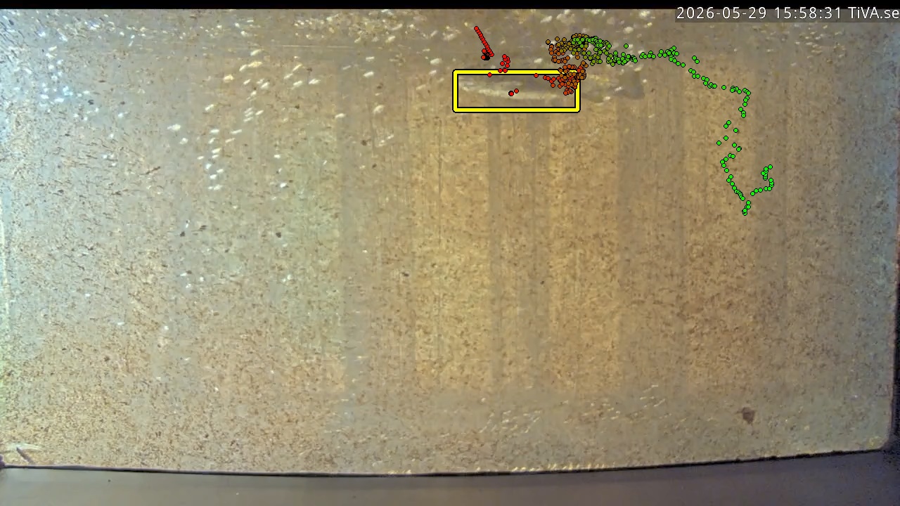 Video 2026-05-29 15:58