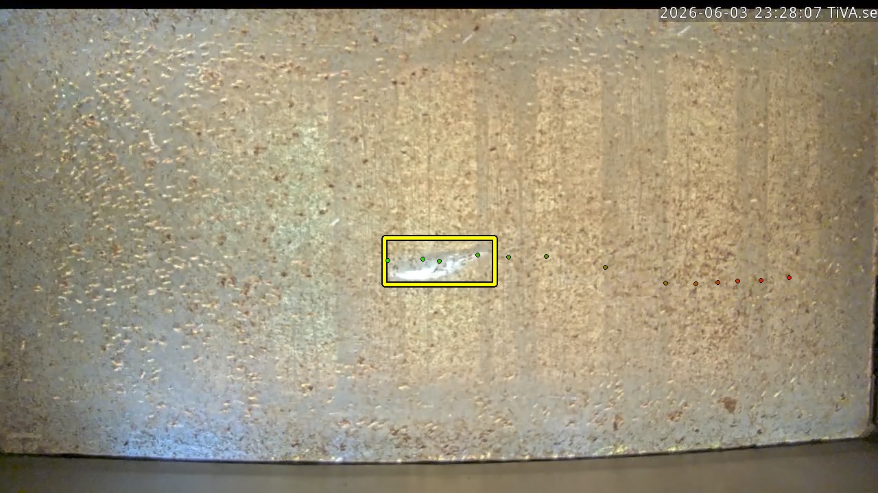 Video 2026-06-03 23:28